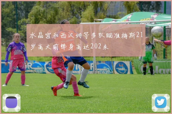 水晶宫和西汉姆等多队瞄准梅斯21岁高大前锋身高达202米