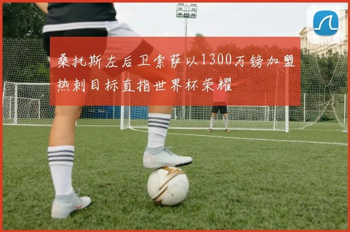 桑托斯左后卫索萨以1300万镑加盟热刺目标直指世界杯荣耀